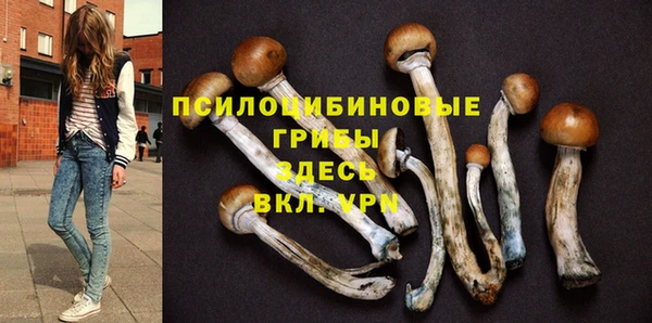 соль курить ск Дмитров