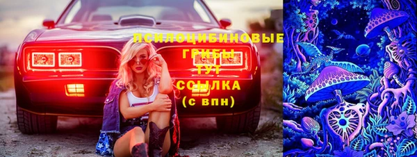 бошки Абдулино