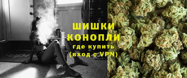 ГАЛЛЮЦИНОГЕННЫЕ ГРИБЫ Абаза