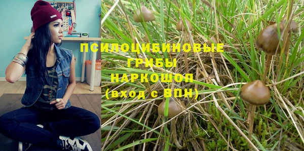 бошки Абдулино