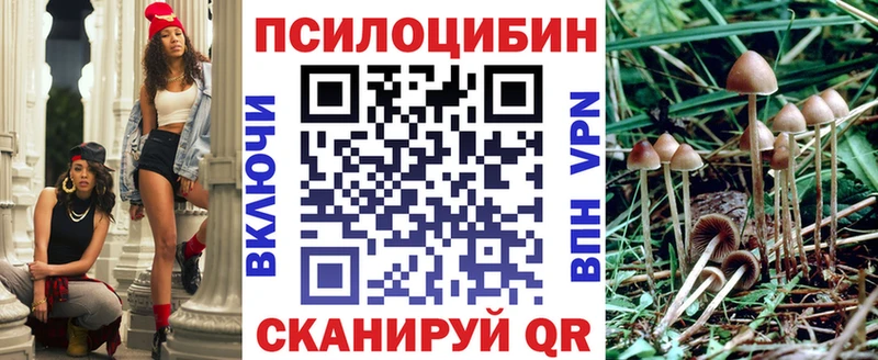 где продают   Назрань  hydra   Галлюциногенные грибы MAGIC MUSHROOMS 